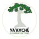 Ya’axché Conservation Trust