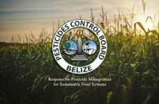 Pesticide Control Board condemns contamination of San Vicente water supply